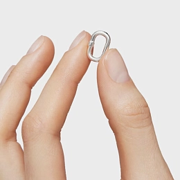 Connector Ring/1004088900