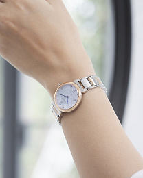 Quartz eco-drive Wristwatch/EM1074-82D