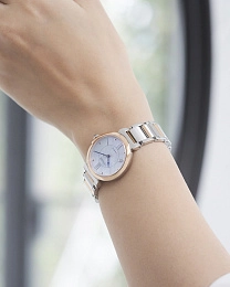 Quartz eco-drive Wristwatch/EM1074-82D