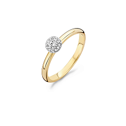 Ring/1131BZI/54