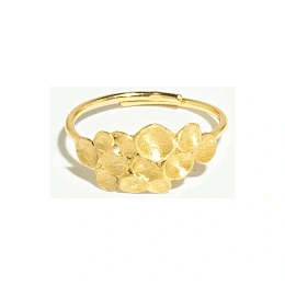 Ring / ANE358