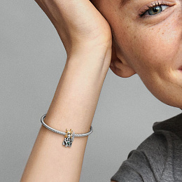 PANDORA Charm/762764C01