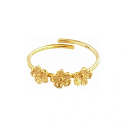 Ring / ANE0028D
