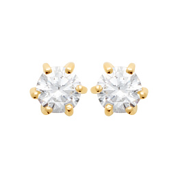 Earring / 202153641