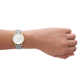 Skagen Quartz Wristwatch Women/SKW3101