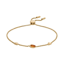 Skagen Stainless Steel Bracelet/SKJ1738710