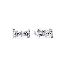 Pandora Timeless Earring / 293506C01