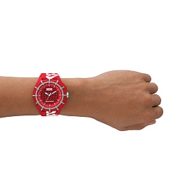 Quartz Wristwatch/DZ4621