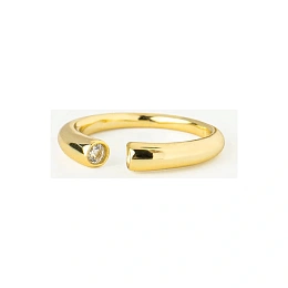 Ring / 4254016DC1