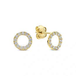 Earring / 9NBG-1013