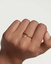 Ring/AN01-966-12