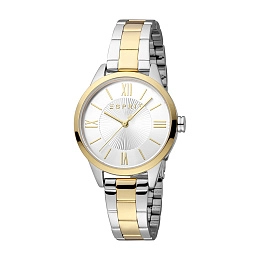 Quartz Wristwatch/ES1L423M0055
