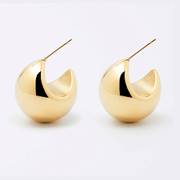Zag Bijoux Surgical Stainless Steel Earring / SEL22080-01UNI
