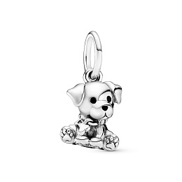 PANDORA Moments Charm / 798009EN16