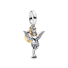 Pandora Moments Charm / 763663C00