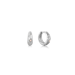 Earring/E034-05H