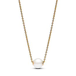 Necklace & Pendant/363167C01-45