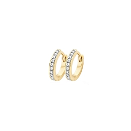 Earring/7129BZI