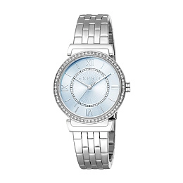Quartz Wristwatch/ES1L424M0035