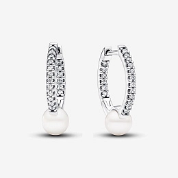 Earring/293171C01