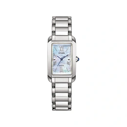 Quartz Wristwatch / EW5620-55N