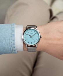 Quartz Wristwatch / TW2Y69000