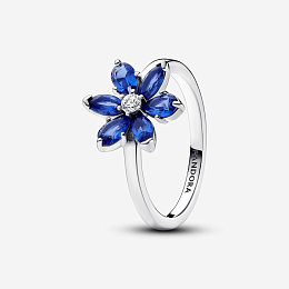 Ring/193000C01-60