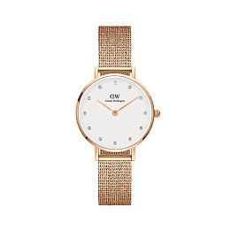 Quartz Wristwatch/DW00100528