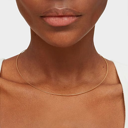 Golden Necklace/1004121700