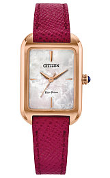 Quartz eco-drive Wristwatch / EM1193-08D