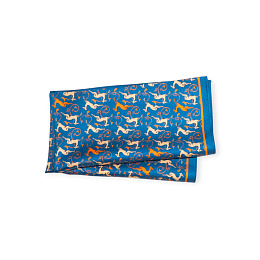 Scarf / 10-SCRF-SLK-11-06-66x66