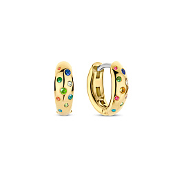 Earring / 78006MC