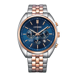 Citizen Quartz Wristwatch Men/AN8216-50L