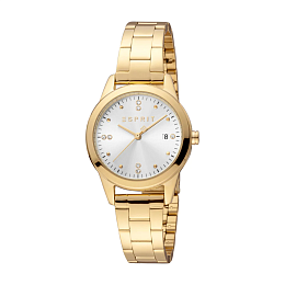 ESPRIT Women Watch, Gold Color Case, Silver Dial, Gold Color Metal Bracelet, 3 Hands Date, 3 ATM