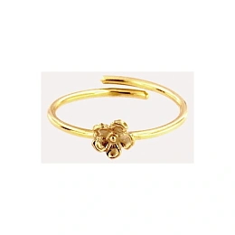 Ring / ANE0028PD