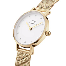 Quartz Wristwatch/DW00100604