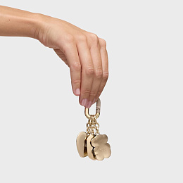 Key ring / 2002208155