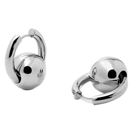 Zag Bijoux Surgical Stainless Steel Earring / SEL22085-00UNI