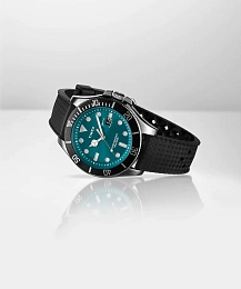 Quartz Wristwatch/TW2V91700