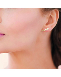 Earring / 23044010