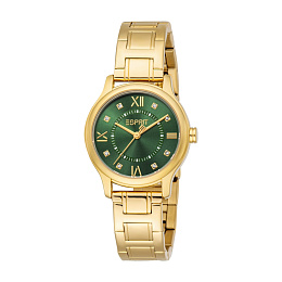 Automatic Wristwatch/ES1L456M0045