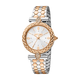 Mechanical Wristwatch/JC1L213M0105