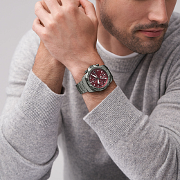 Quartz Wristwatch/FS6017