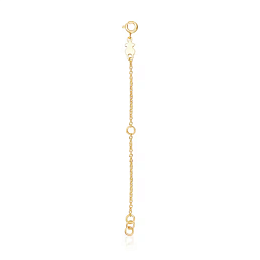 Golden Bracelet Extension/111906510