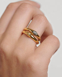 Ring Set / AN01-B79-14