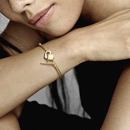 Moments Bracelet/569285C00-18