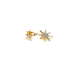 Earring/23009500